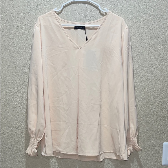 Funlingo Tops - Blush V-Neck Blouse with Gathered Cuffs